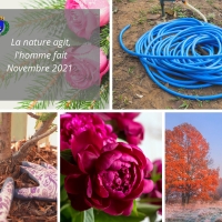 La nature agit, l'homme fait : Novembre 2021 